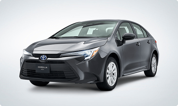 corolla imagen-7