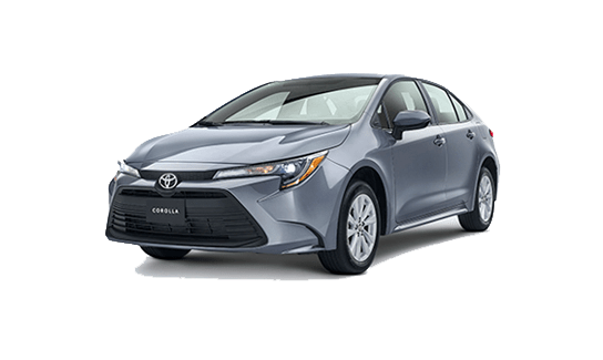 Corolla LE 