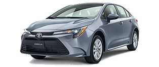 Corolla LE 